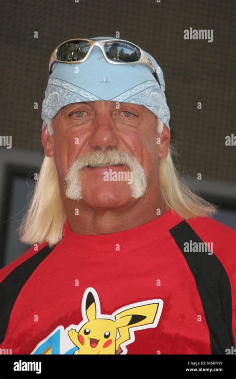 terry hulk hogan